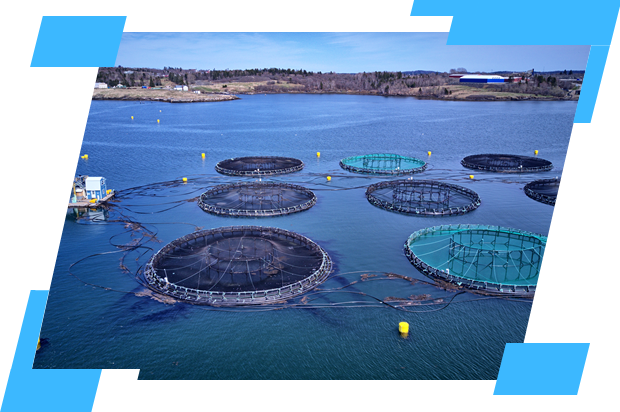 Imagem de destaque do artigo