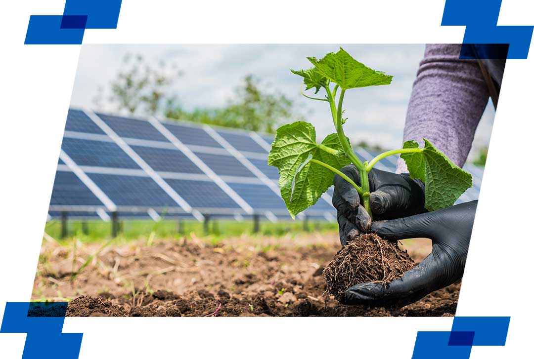 Uso da água no campo exige autorização; veja o que fazer para ficar em dia  com a Lei