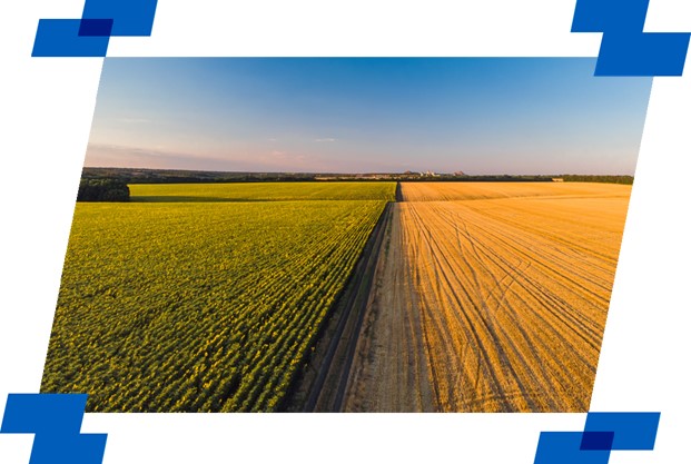 Imagem de destaque do artigo