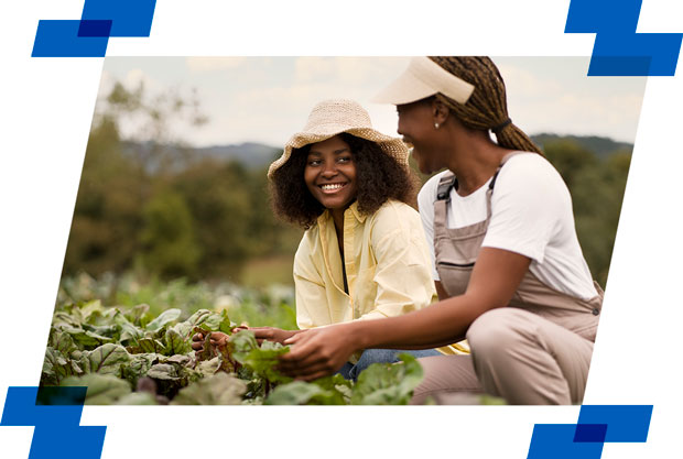 Imagem de destaque do artigo