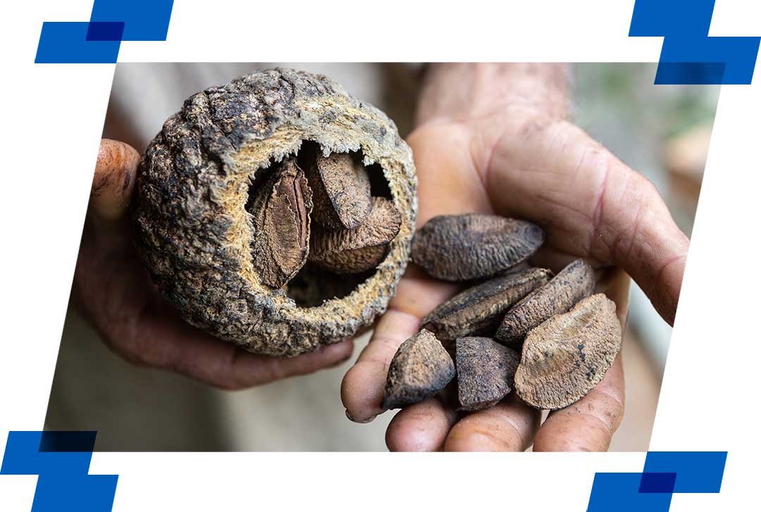 Imagem de destaque do artigo