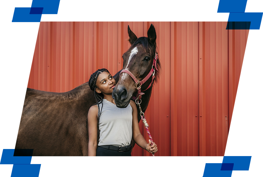 Imagem de destaque do artigo