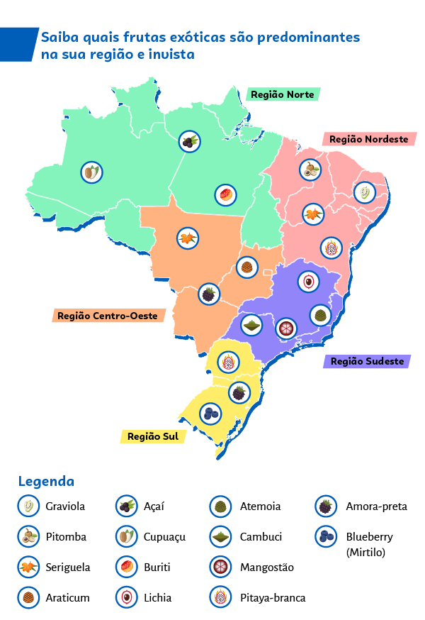 Ideia de ter o mapa das regiões brasileiras e marcar onde são encontradas as frutas exóticas. Se esse infográfico for digital, ter a possibilidade de passar o mouse pela região e ver os nomes das frutas e imagem delas. 