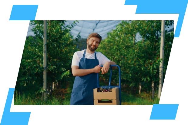 Imagem de destaque do artigo