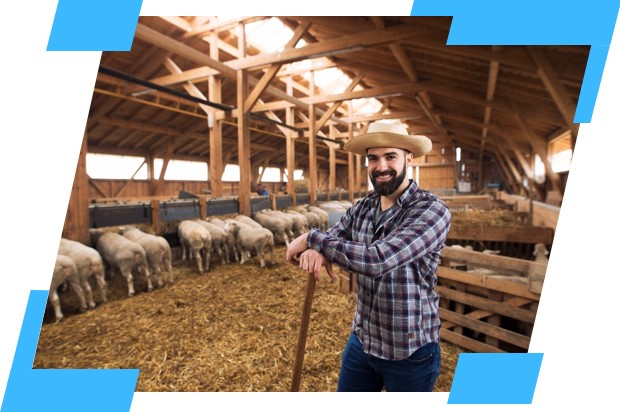 Imagem de destaque do artigo