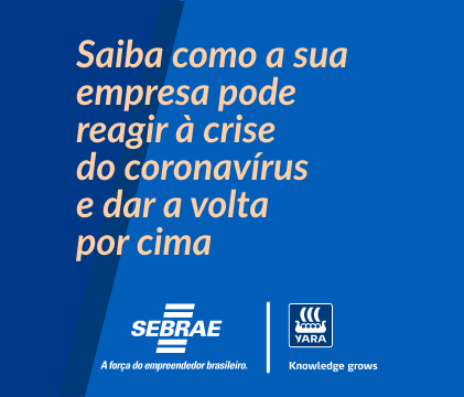 Startup do Amapá que criou plataforma de gestão escolar fala sobre inovação  no 'RePensar', Amapá