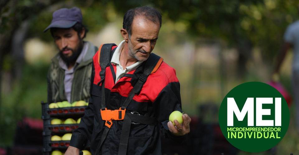 Imagem de destaque do artigo