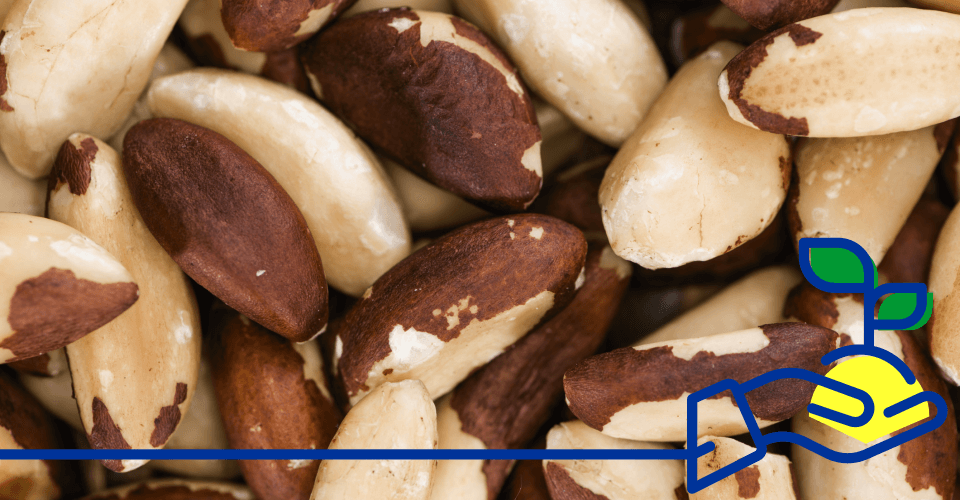 Imagem de destaque do artigo